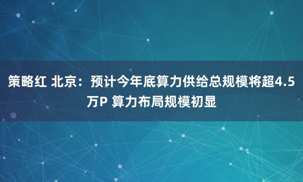 策略红 北京：预计今年底算力供给总规模将超4.5万P 算力布局规模初显