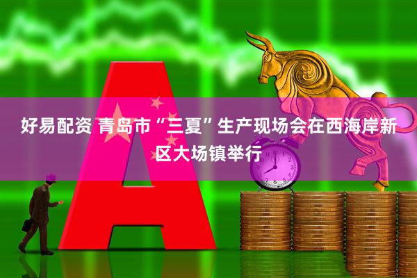 好易配资 青岛市“三夏”生产现场会在西海岸新区大场镇举行