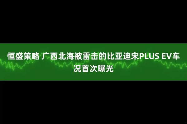 恒盛策略 广西北海被雷击的比亚迪宋PLUS EV车况首次曝光