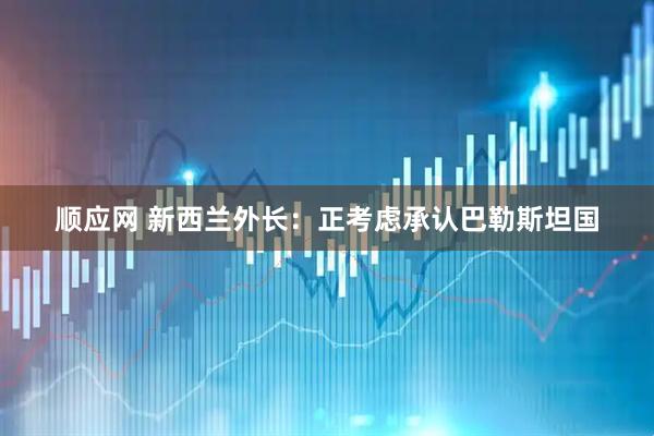 顺应网 新西兰外长：正考虑承认巴勒斯坦国