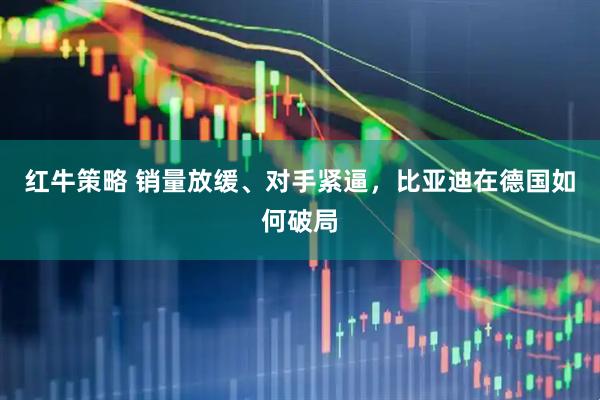 红牛策略 销量放缓、对手紧逼，比亚迪在德国如何破局